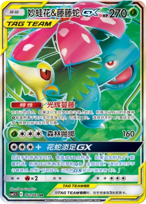 Florizarre et Vipélierre GX (062/061)