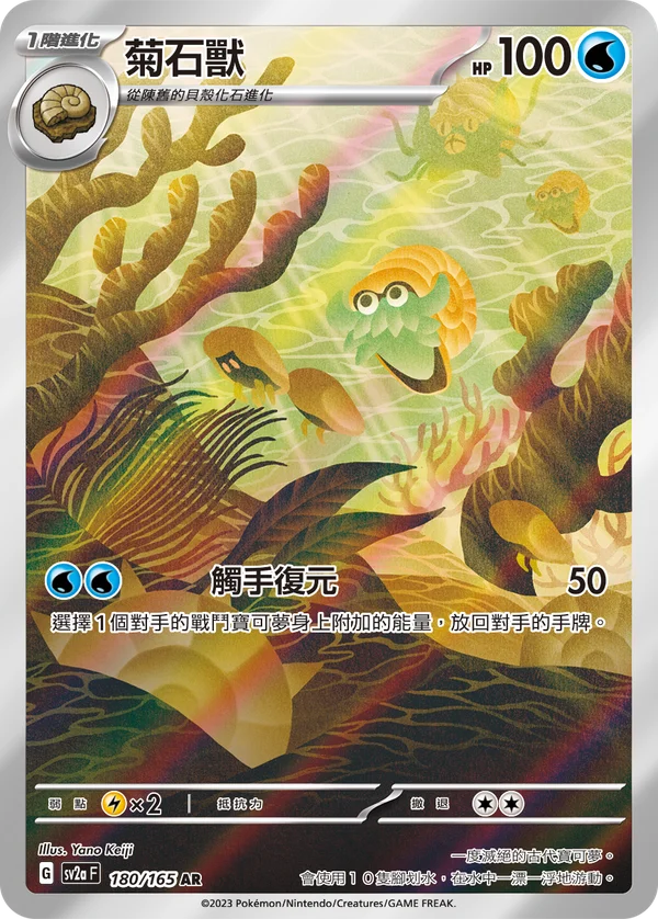 Amonita (180/165)