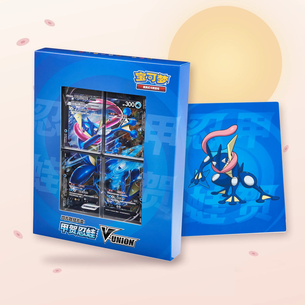 Coffret classeur Amphinobi V-UNION CSEC chinois : le coffret et son classeur Amphinobi