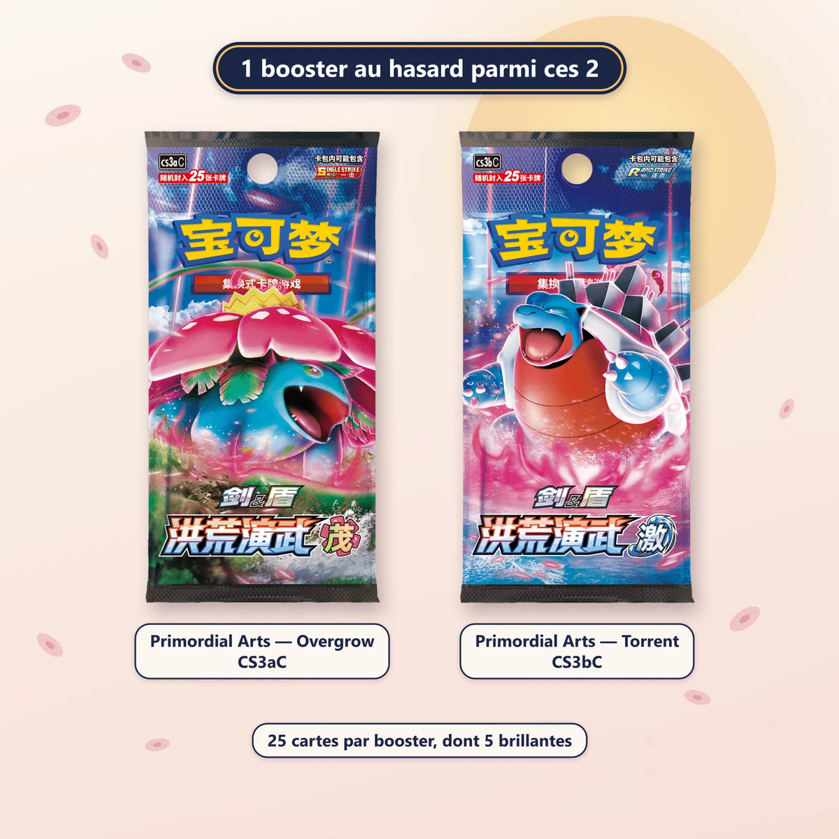 Coffret tin Poké Ball - Célébration Légendaire (CS3aC/CS3bC) : les 2 boosters possibles, CS3aC ou CS3bC